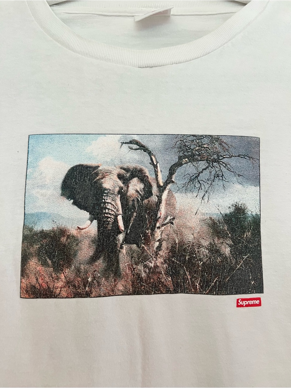 Supreme Elephant Tee (Supreme “Safari” Tee) - Picture 3 of 4